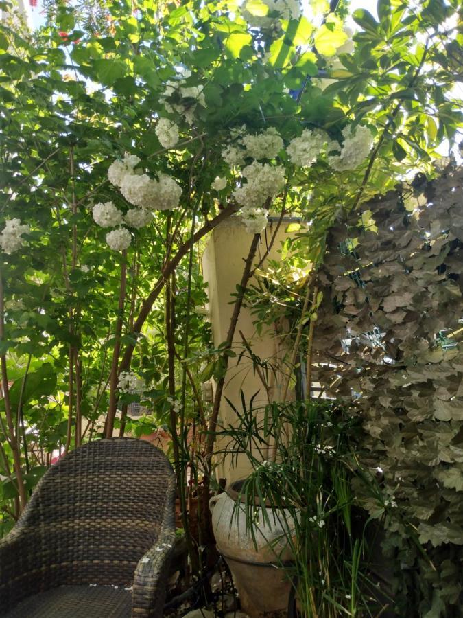 My Sunny Low Home Πάτρα Εξωτερικό φωτογραφία
