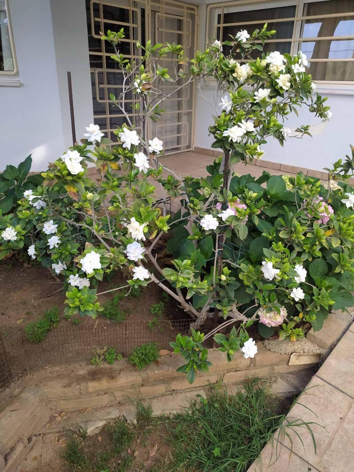 My Sunny Low Home Πάτρα Εξωτερικό φωτογραφία